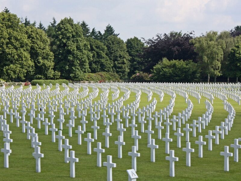 A field of crosses in the grass with trees behind it.